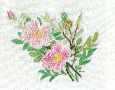 embroidery flower sample